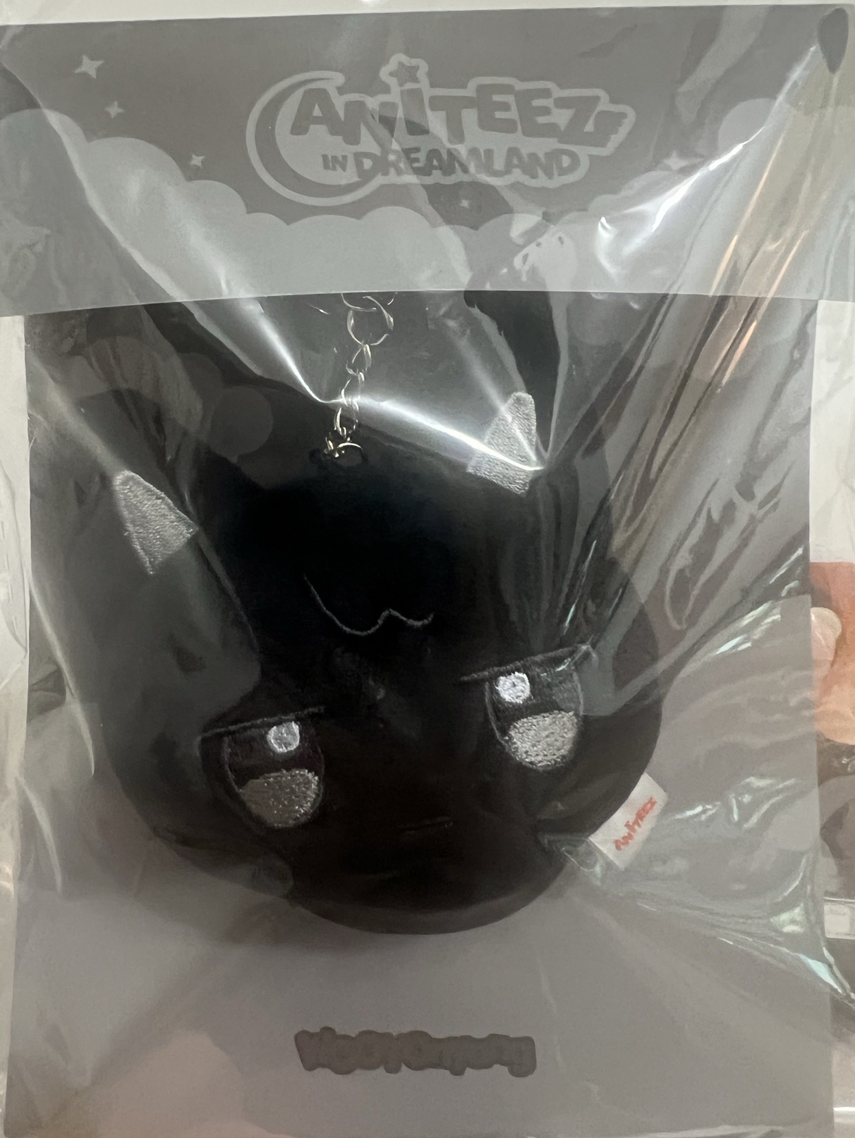 🩷全新 榮大頭（含卡）需綁💛500