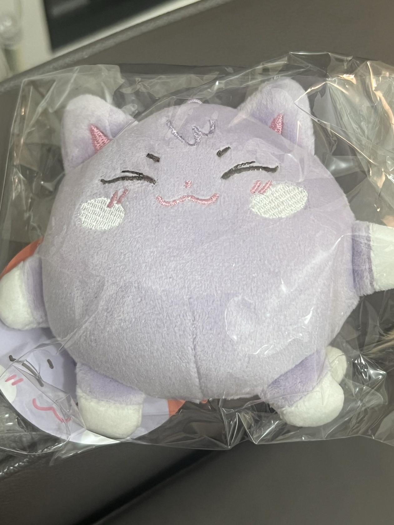 🩷胖貓 需要綁💛300