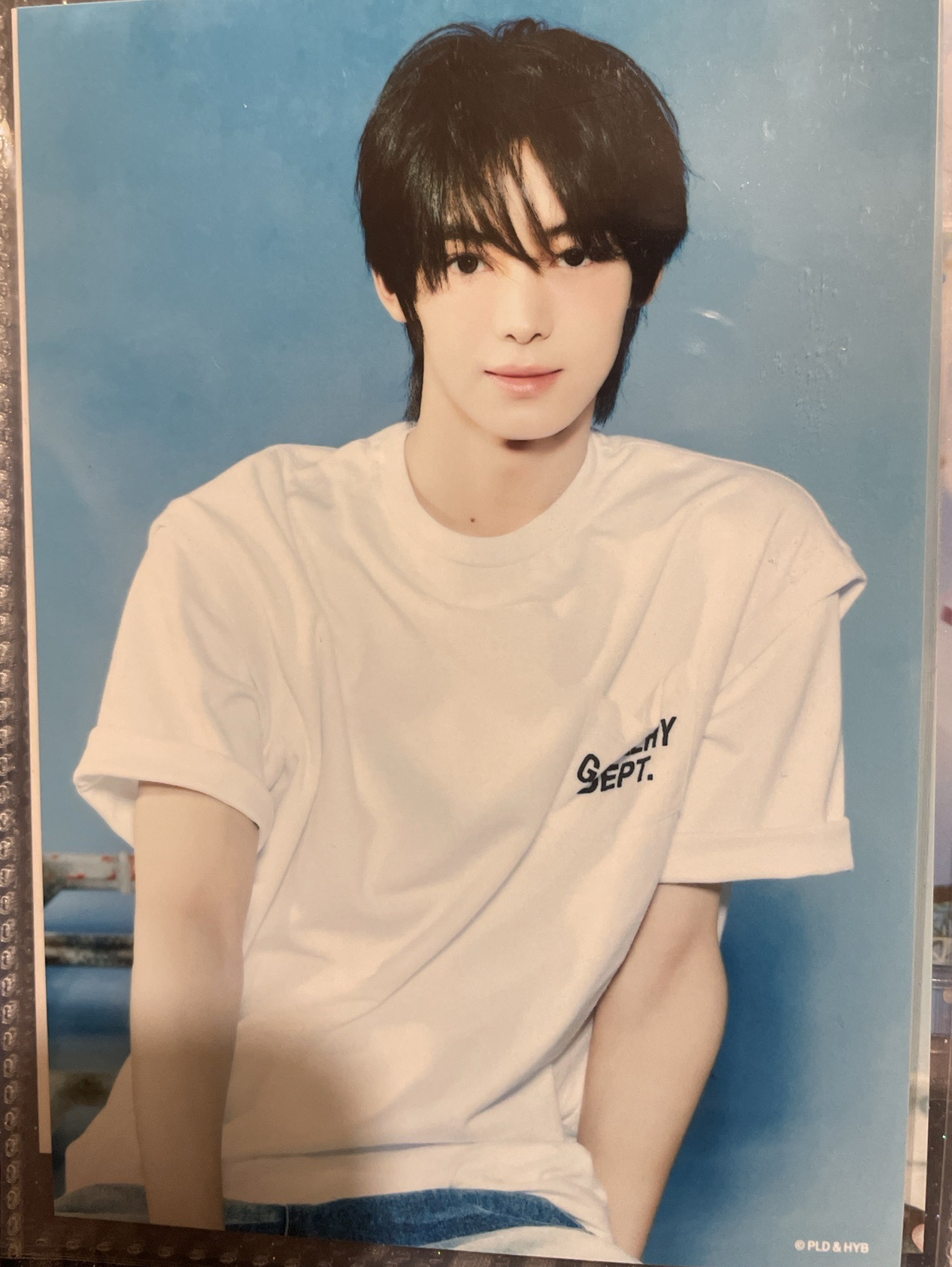 韓振 日巡 生寫真