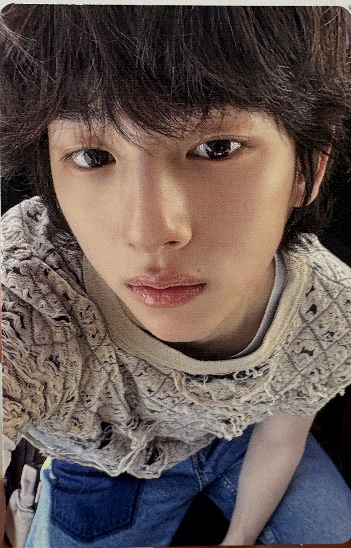 豬排飯 專卡（S2訓+S1凡）