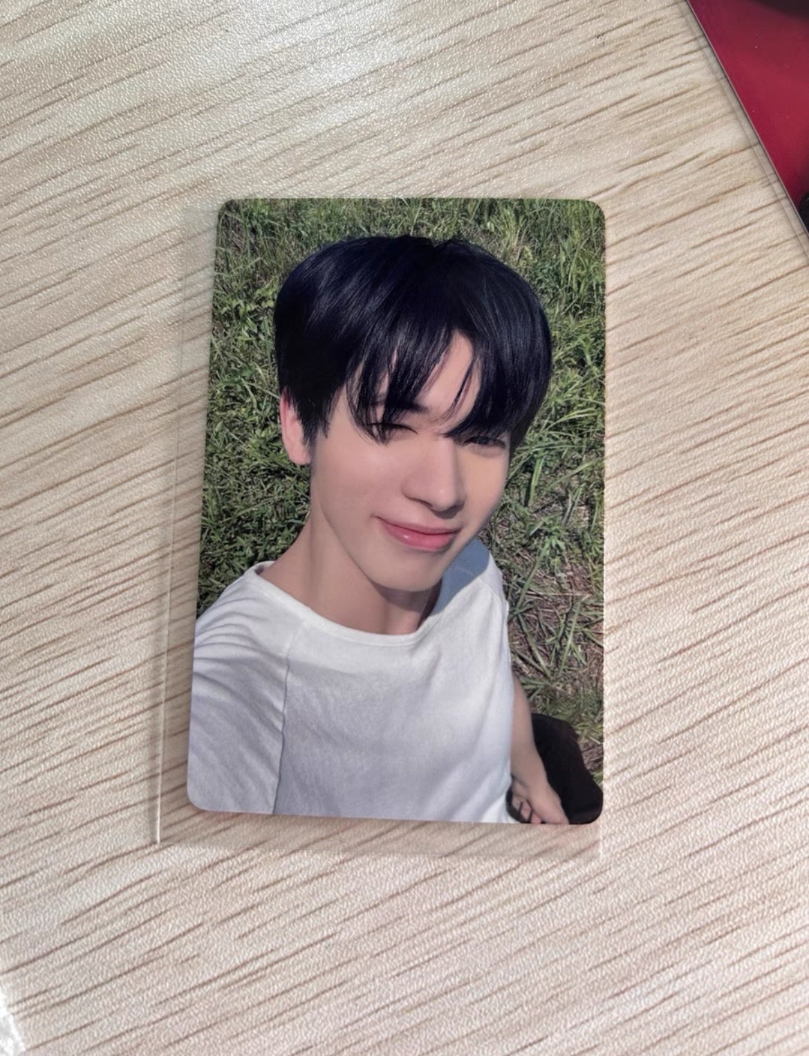 人不要怕 你的咪來了.ᐟ.ᐟ  姜姜小貓🐱駕到❤️‍🔥