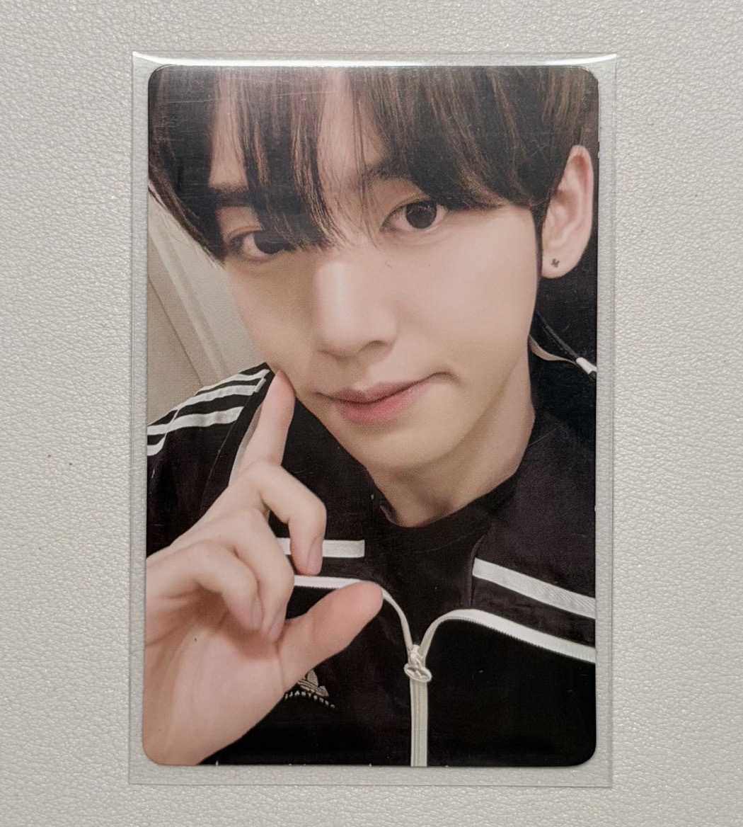 ZB1｜二巡泰國辰粽卡