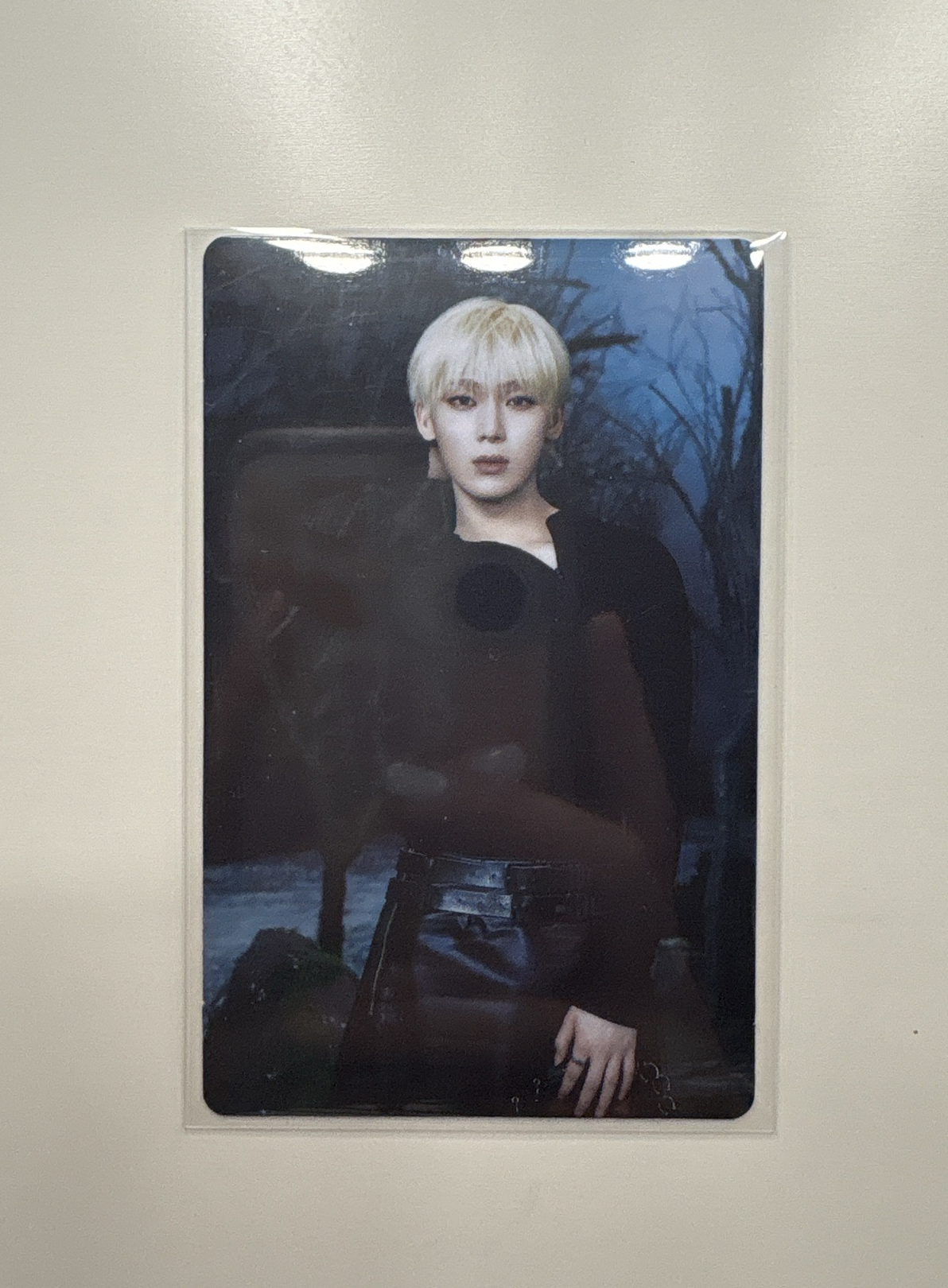 善禹WTL卡包隨機05