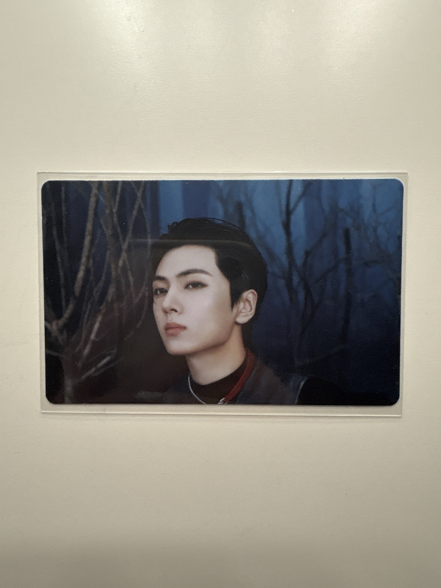 JAY WTL卡包隨機06