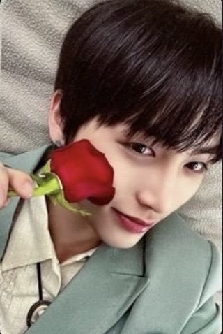 楠藝幸運卡 玫瑰山