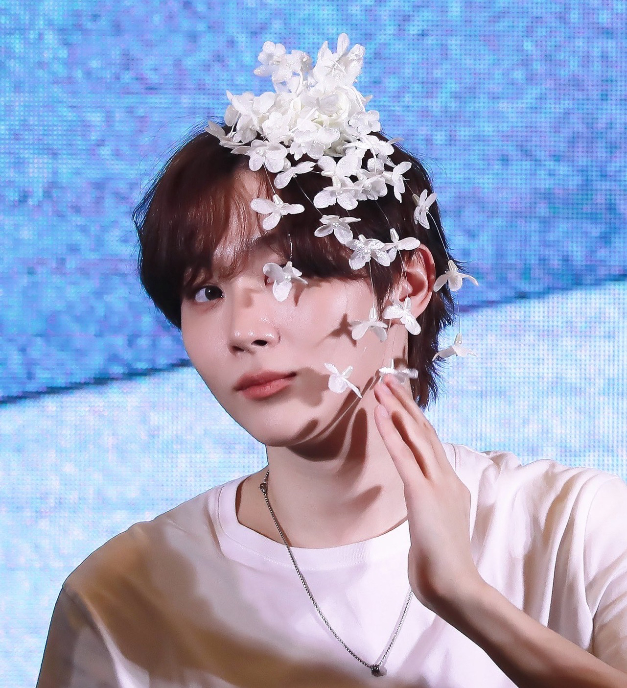 🤍𝑺𝑽𝑻 勝寛 綁綁區