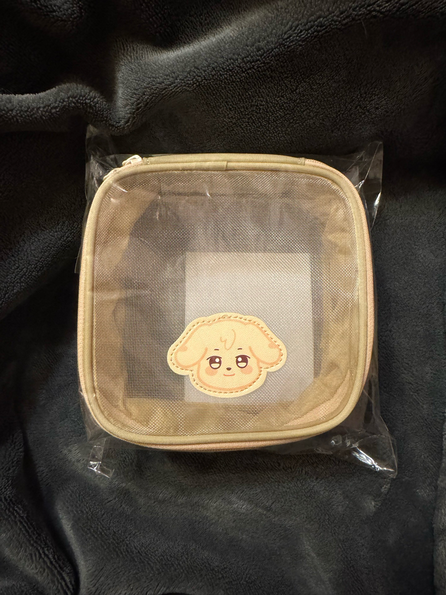 潤 ANITEEZ IN TREASURE TAIPEI ONLY 拉鍊收納袋 MESH POUCH TYUdeongi