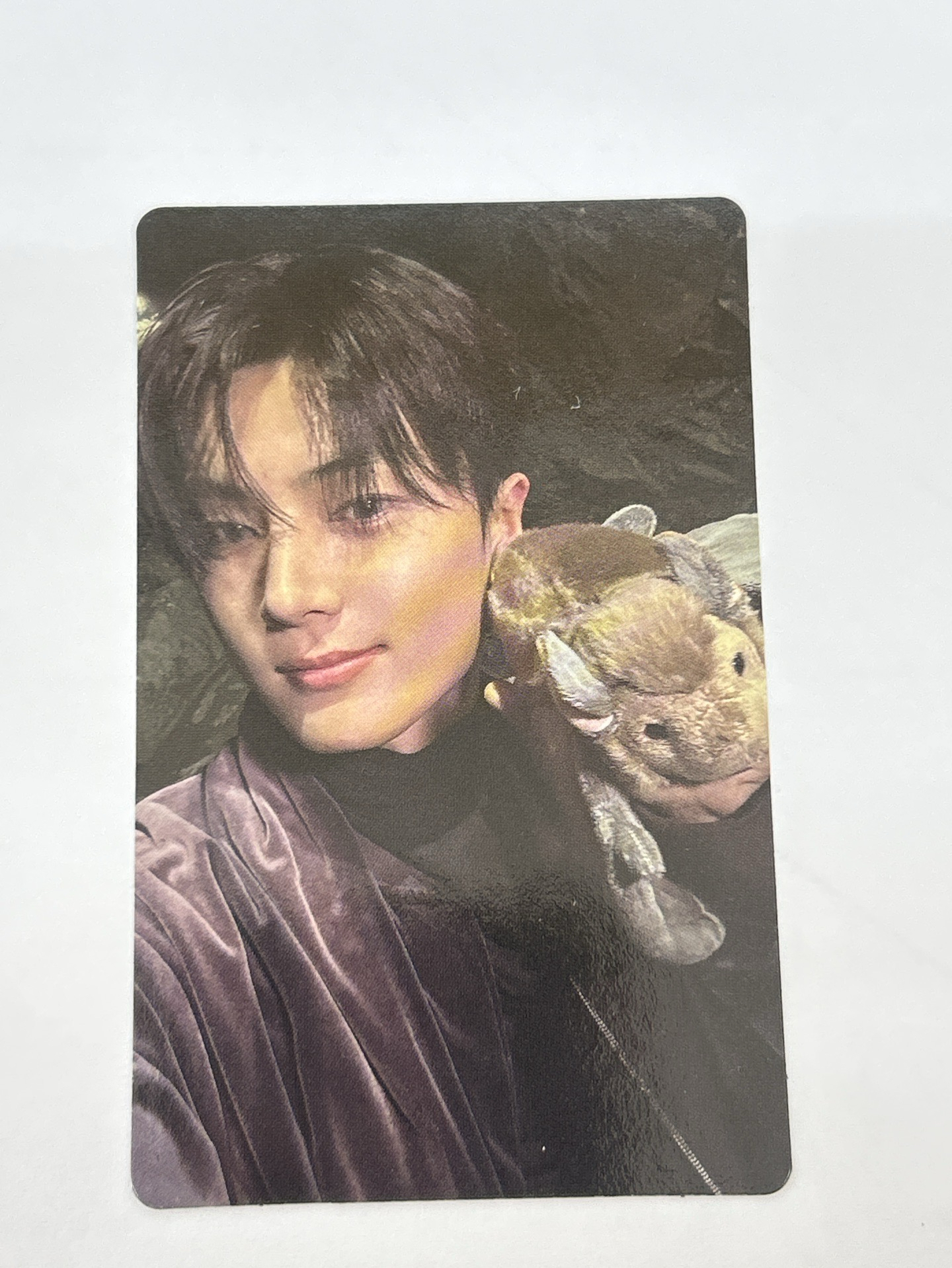 ENHYPEN 迷七 wvs1.0幸運卡