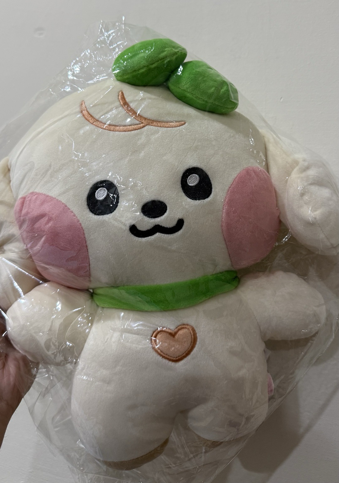 全新現貨 IVE X LINE FRIENDS Minive 大娃 安兪真