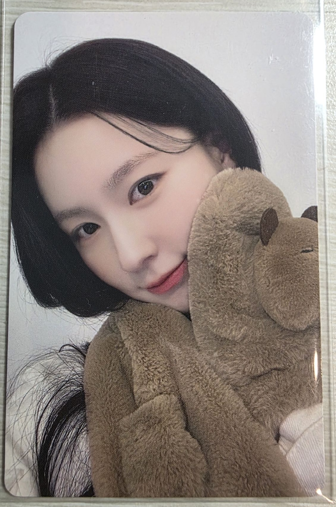 正規二 yzy 8.0 特典卡 卡皮巴拉 薇娟