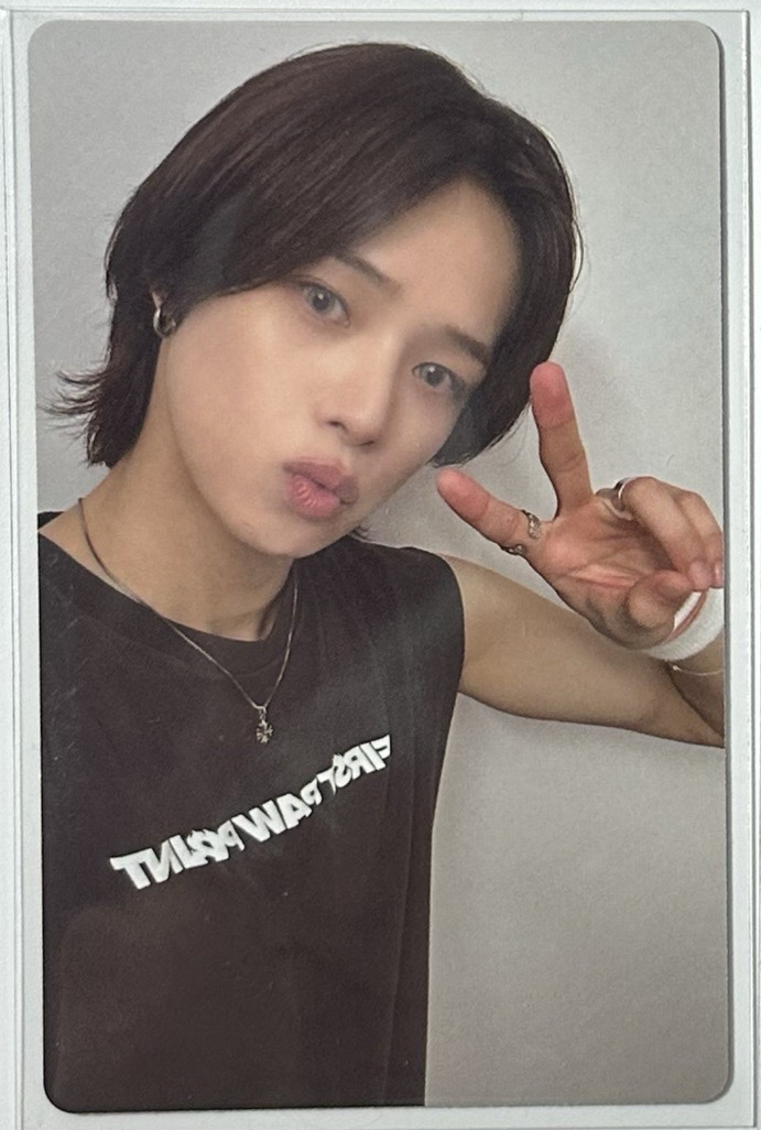 五月雨 wvs預售特典卡