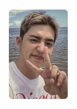 wvs PB ver. 特典卡 