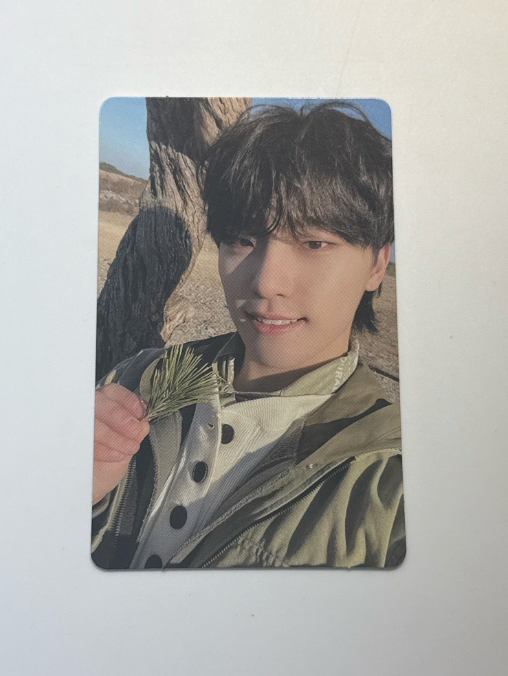 Dino 正四 wvs PB ver 特典卡 