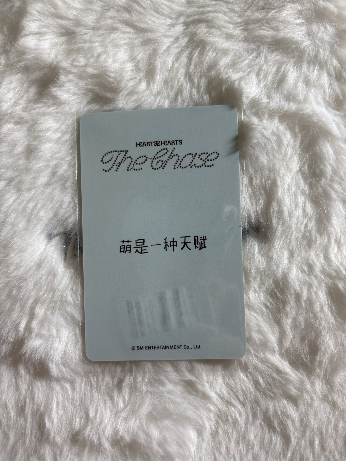 IAN 中文卡背 單一 kms 特典卡 MB ver.