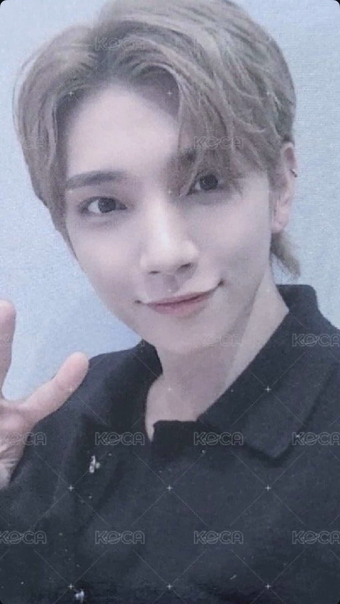 WVS CON 秀（交易中）