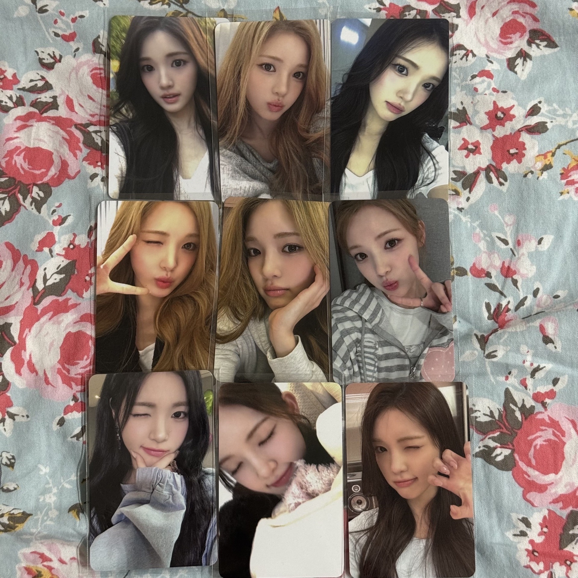 ⭐️Yuha小盤🐰