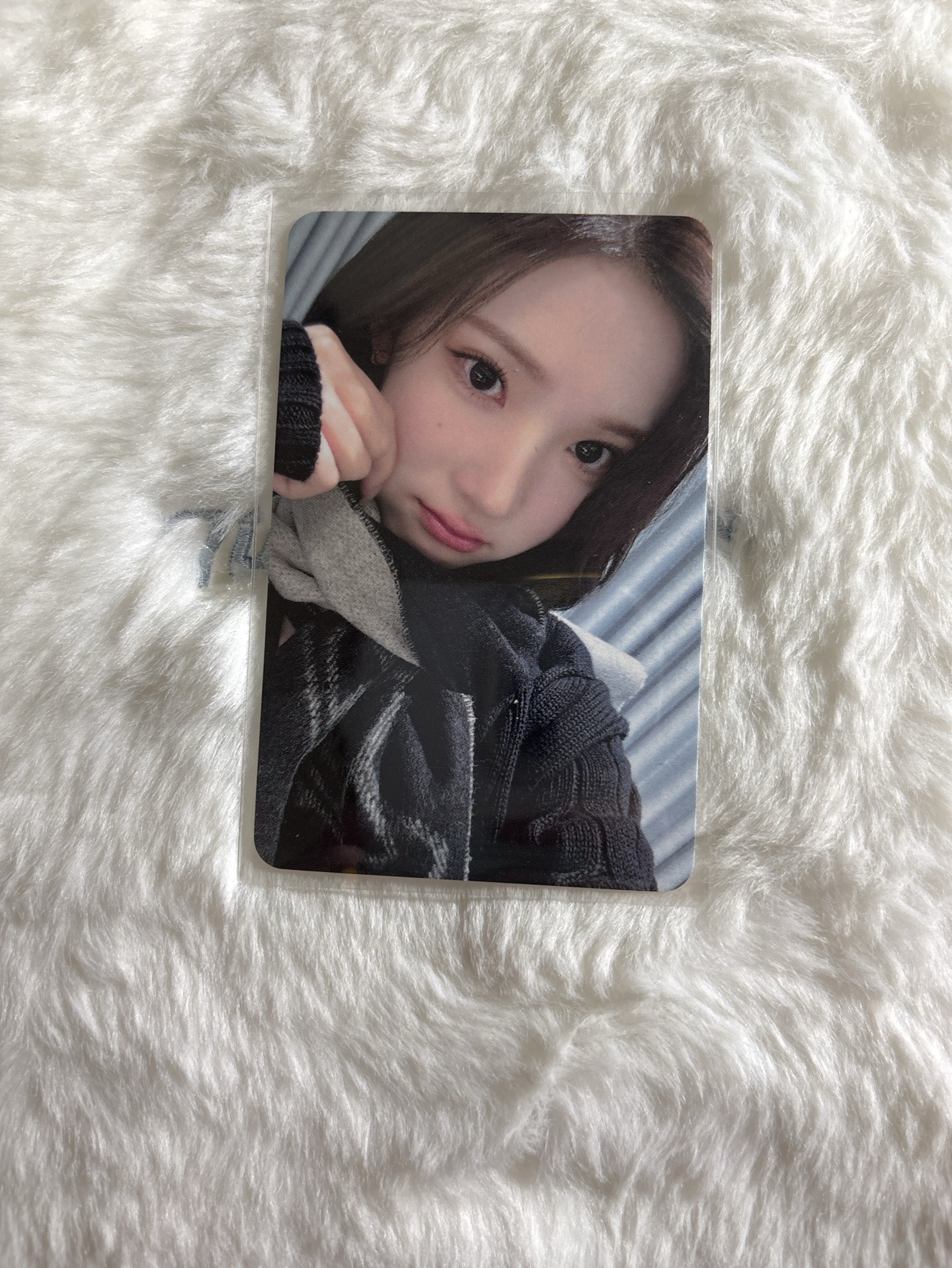 Jiwoo Focus hl 1.0 簽售卡 