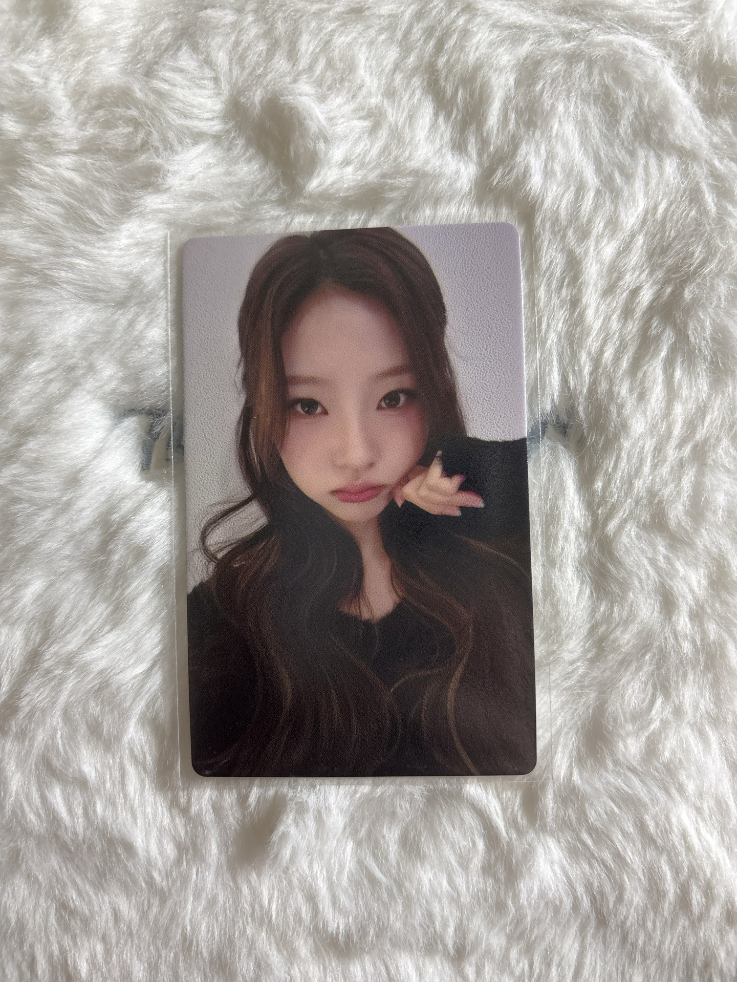 需多帶 Stella Focus ju 簽售卡 