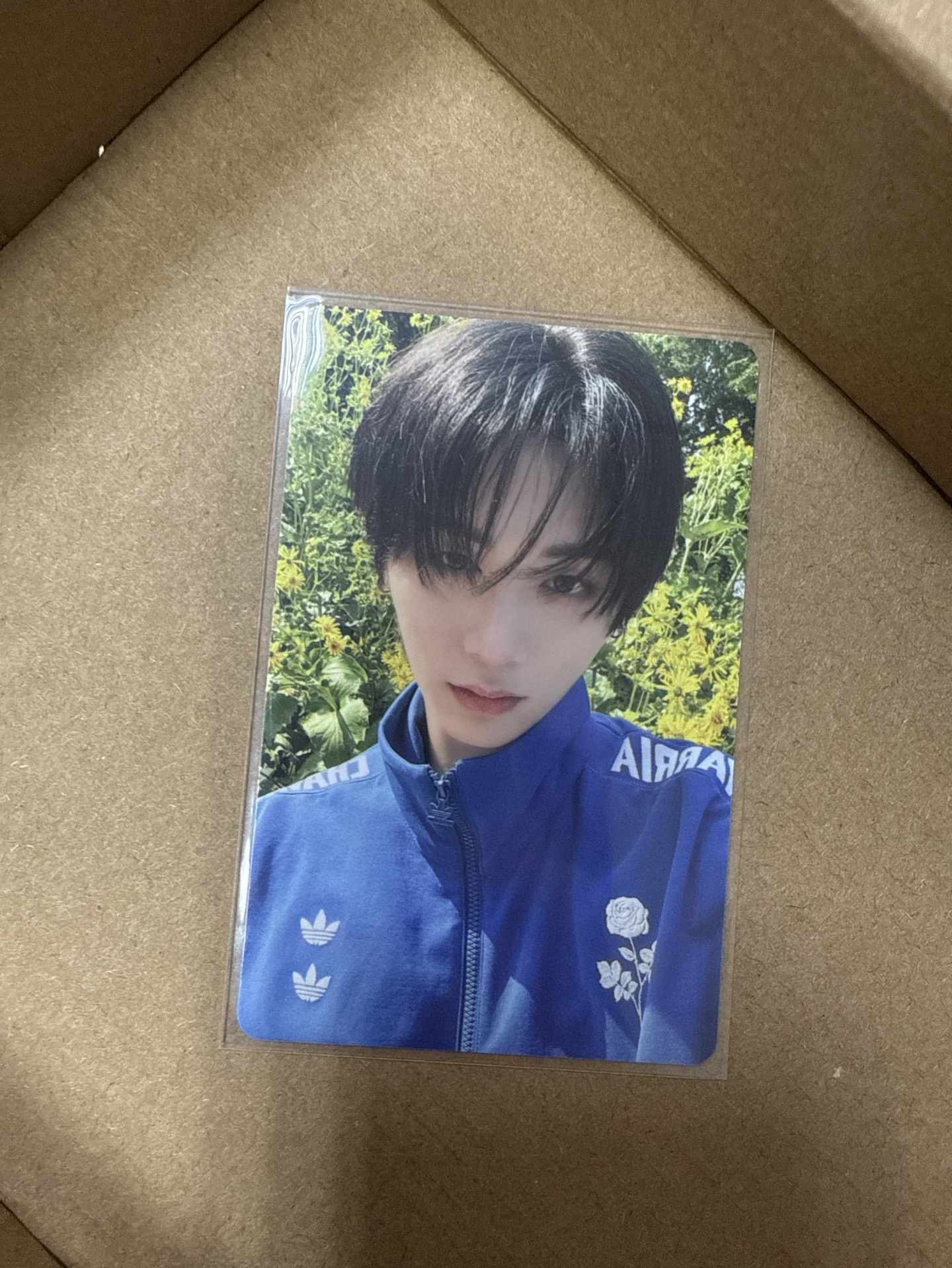 BOYNEXTDOOR TAESAN The Action 專卡