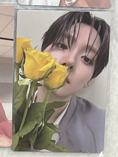 週二展覽卡拿花