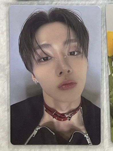 週二展覽卡維不拉屎