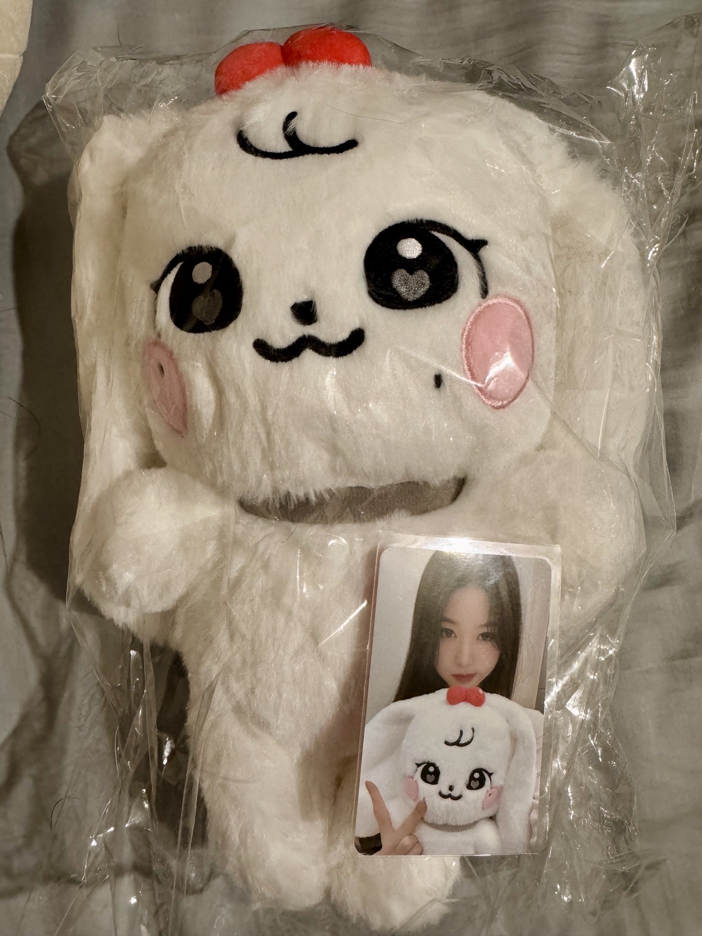 IVE MINIVE 30cm 員娃+娃卡