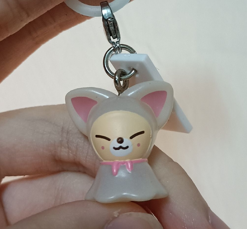 Stray kids 寅扭蛋（為賣場說明中的💙