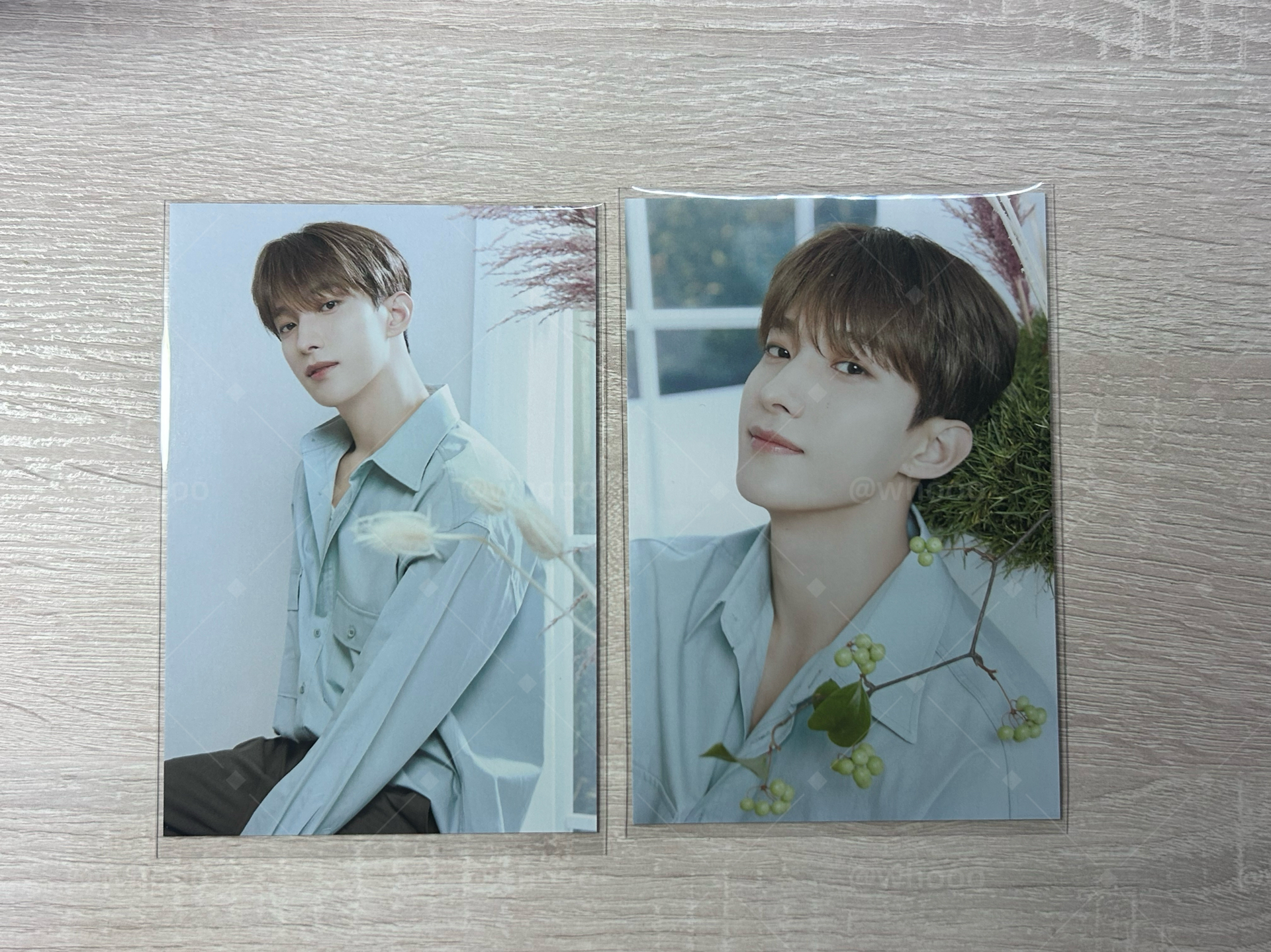 24’CAFE  碩 明信片組 