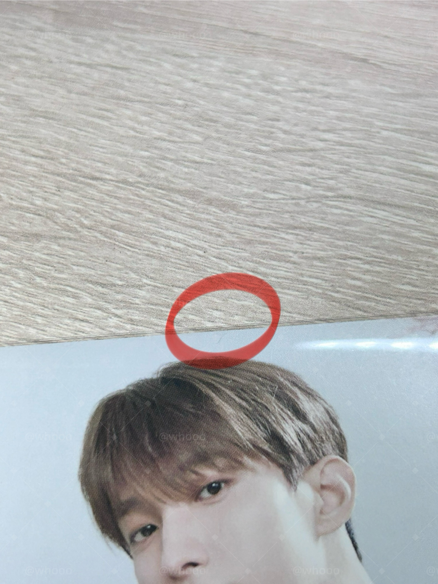 24’CAFE  碩 明信片組 