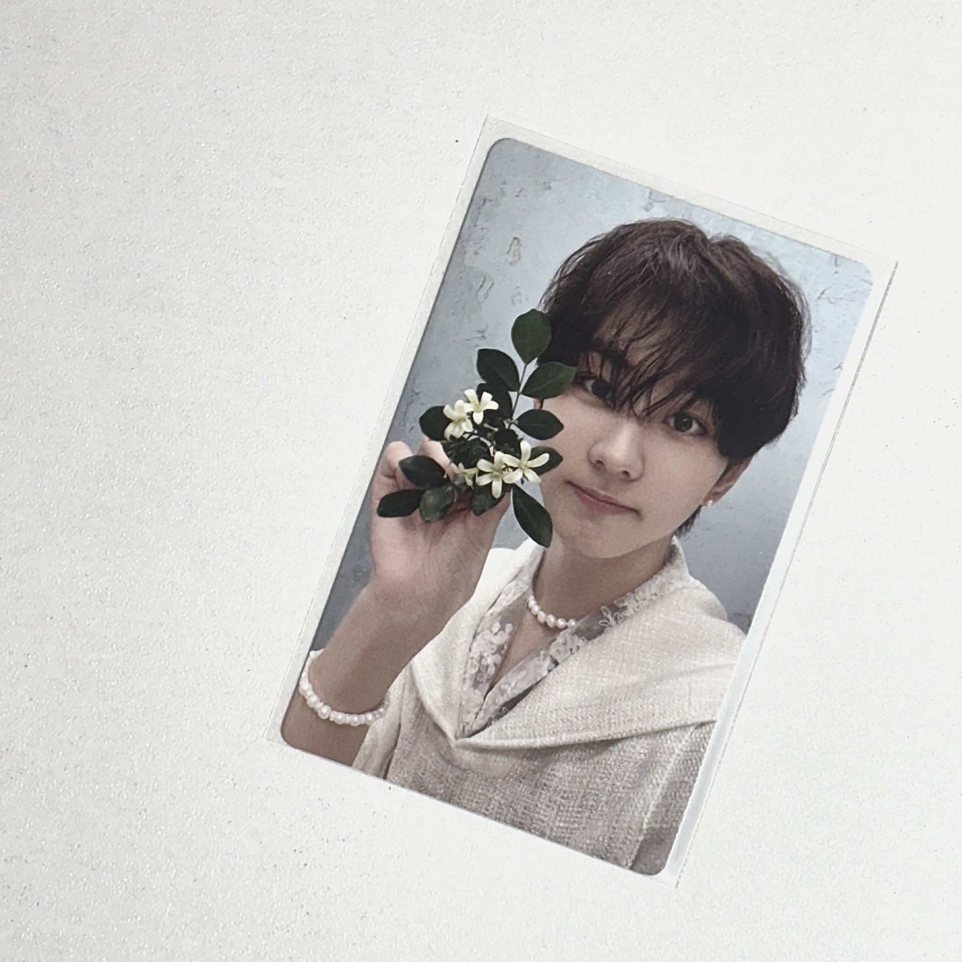 迷四 迷五 專卡