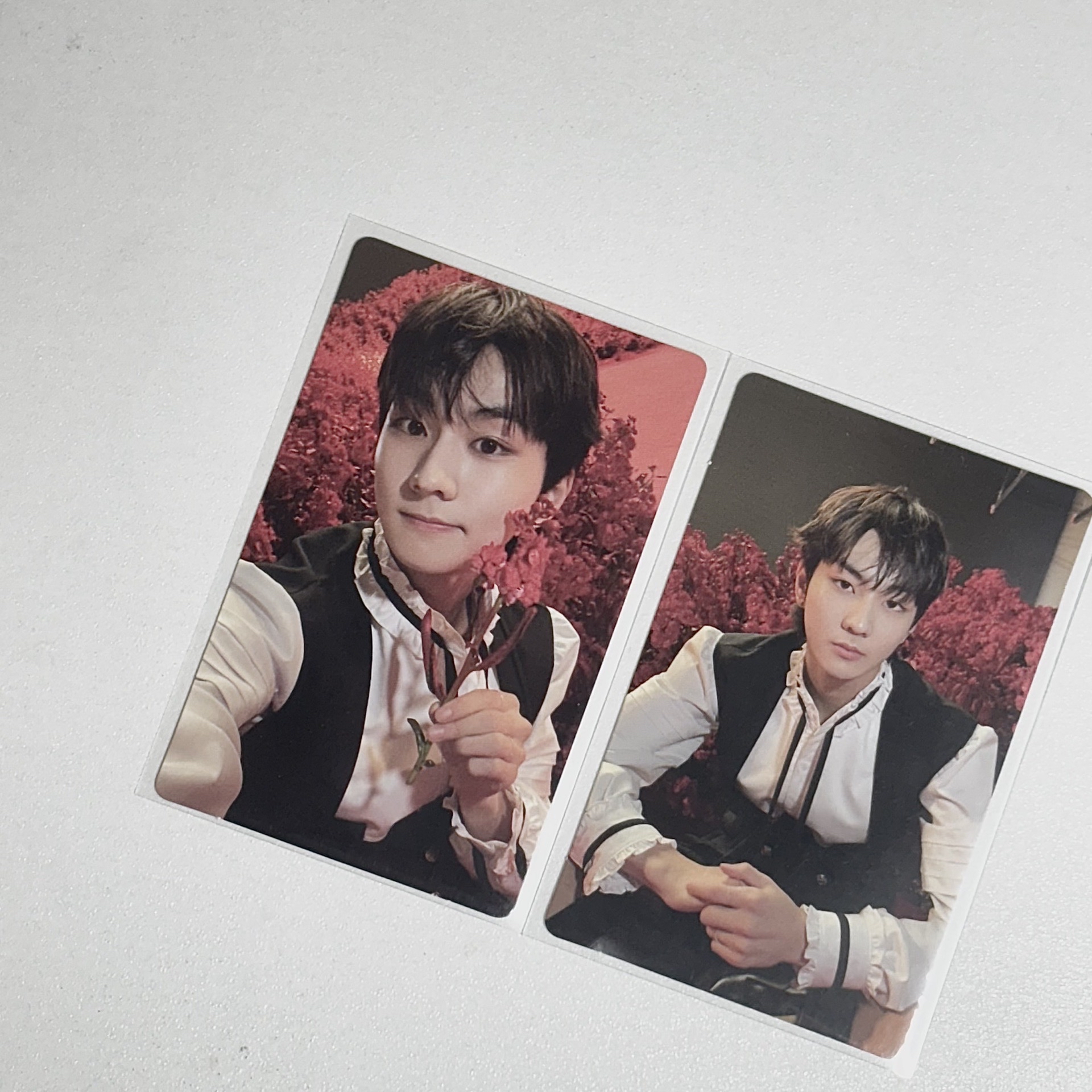 迷四 迷五 專卡