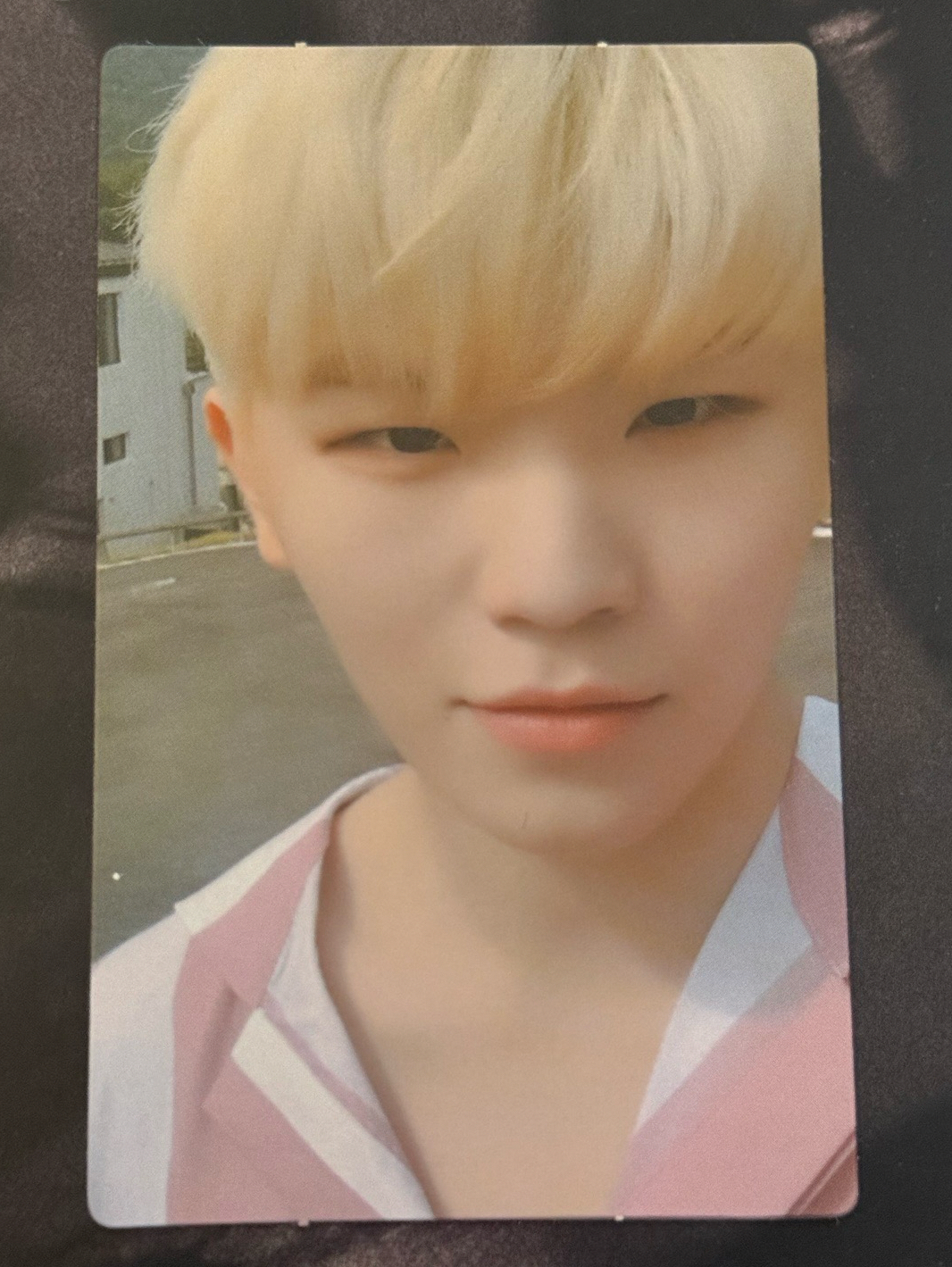迷五 專卡  Woozi