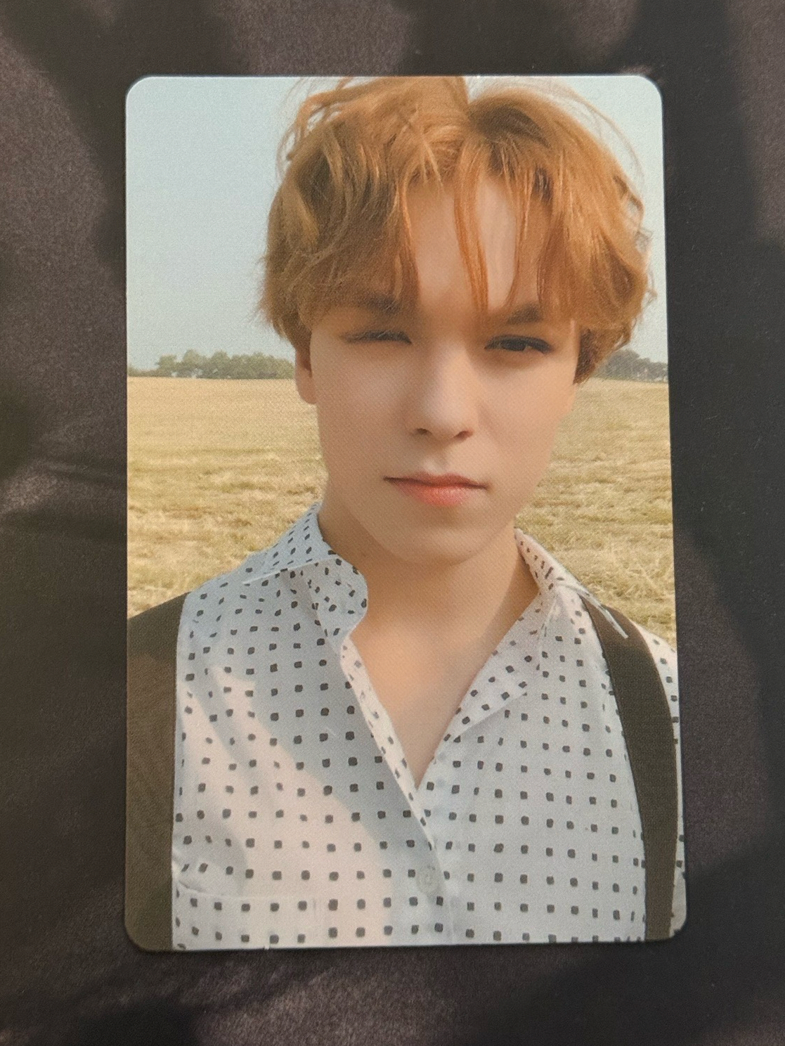 迷五 專卡 Vernon