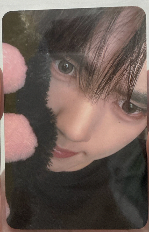 韓維辰二巡貓爪