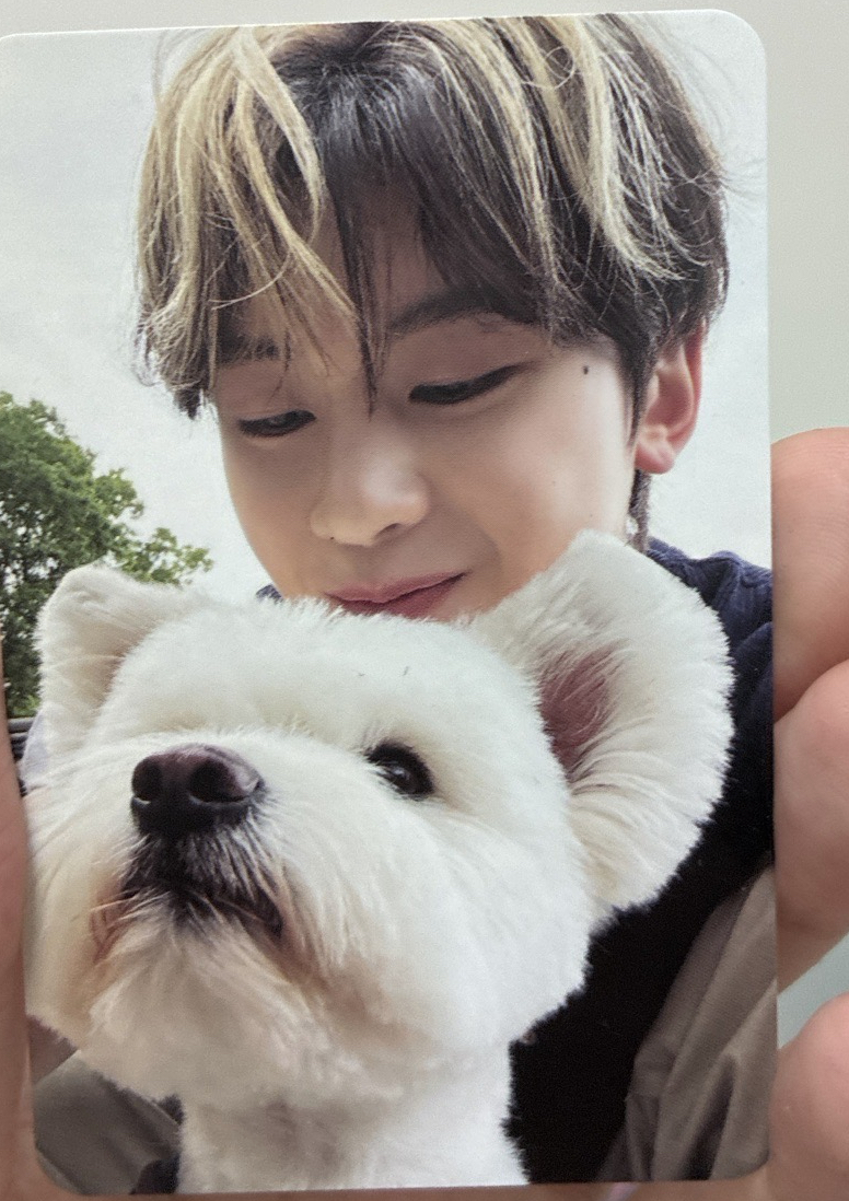 石馬修團封狗狗卡