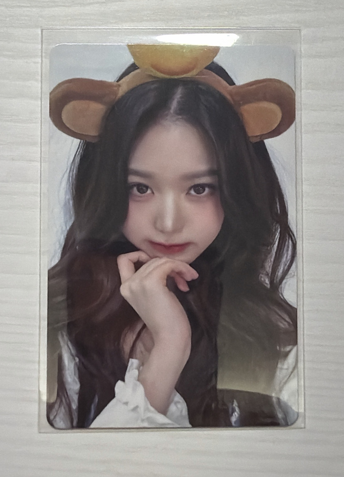 ive km台特猴子員