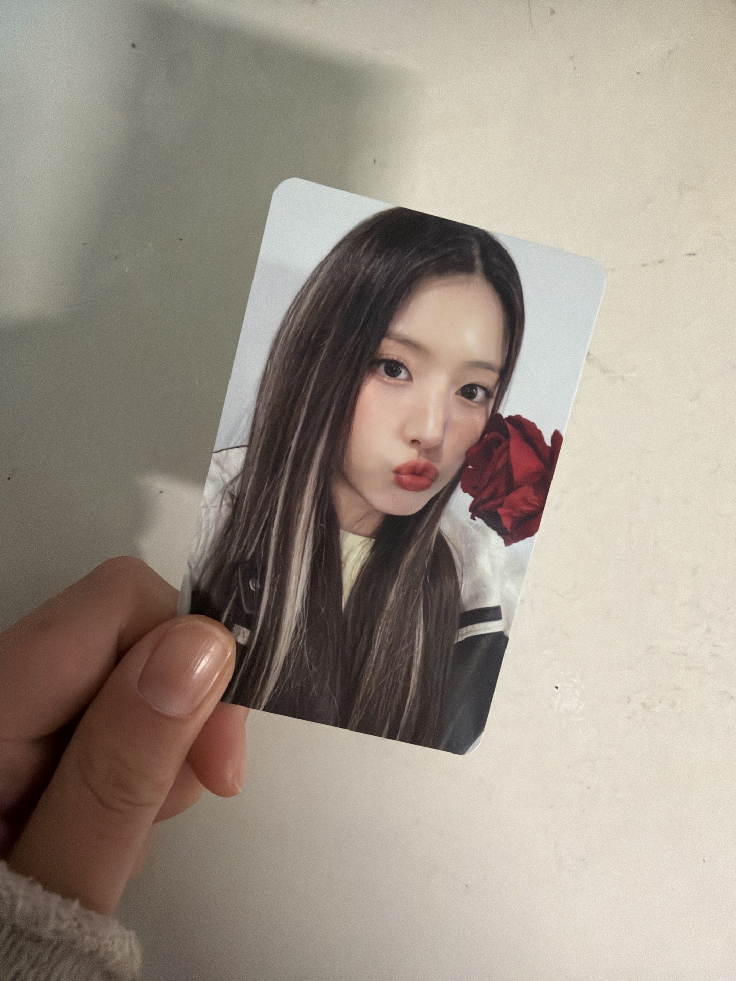 NMIXX Jiwoo金智友 玫瑰