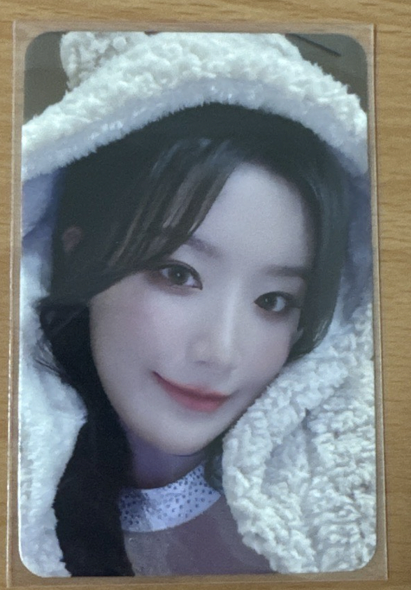 sr4.0小熊毛毯刷