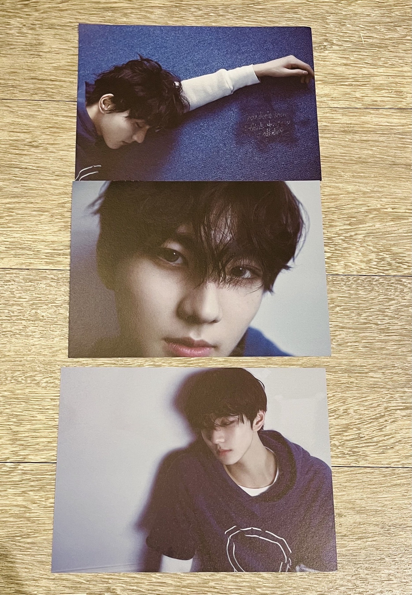 元專區 (｡･ω･｡)