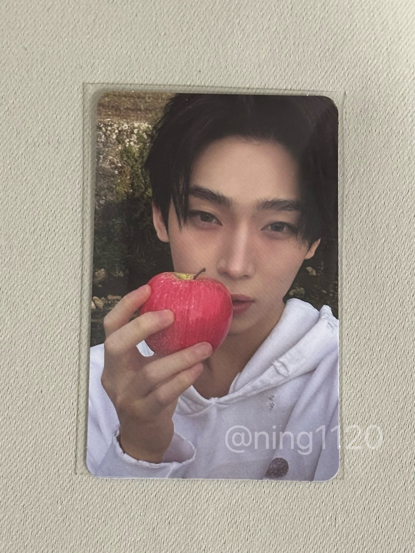 迷七單封隨機 蘋果禹