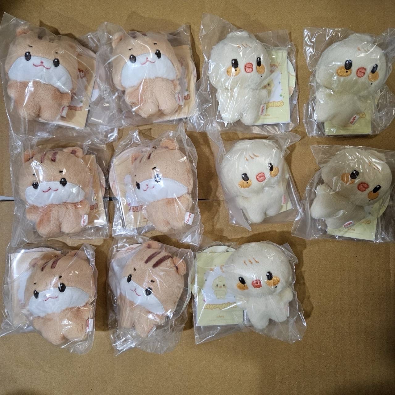 Aniteez 寶寶娃（含卡）