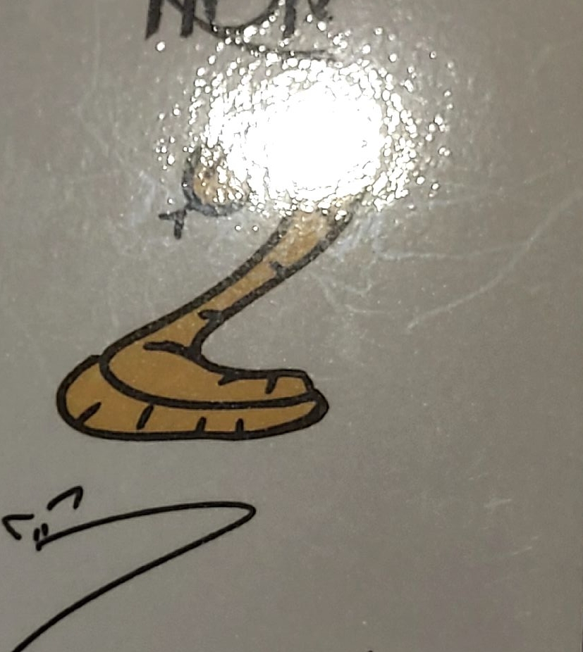 寅小卡盤（有損）