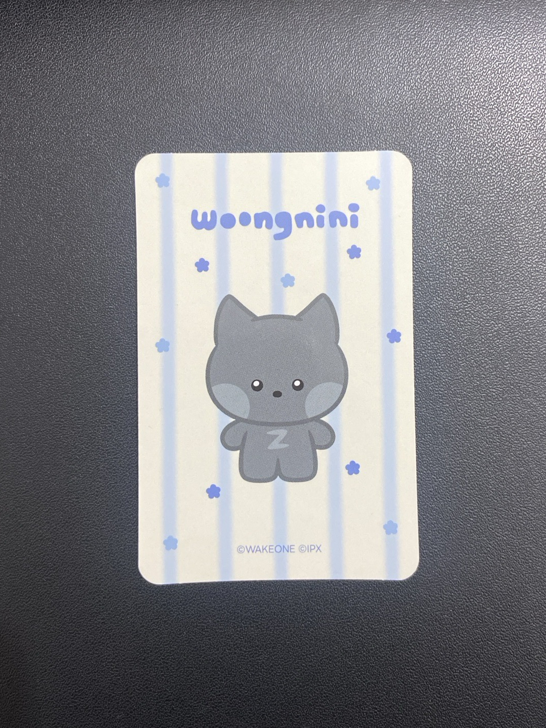 周邊｜收納包卡雄（特殊卡背）