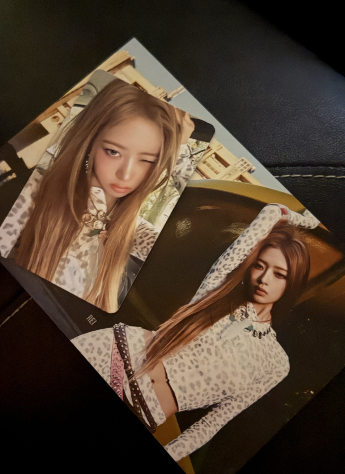 怜小卡明信片 全專