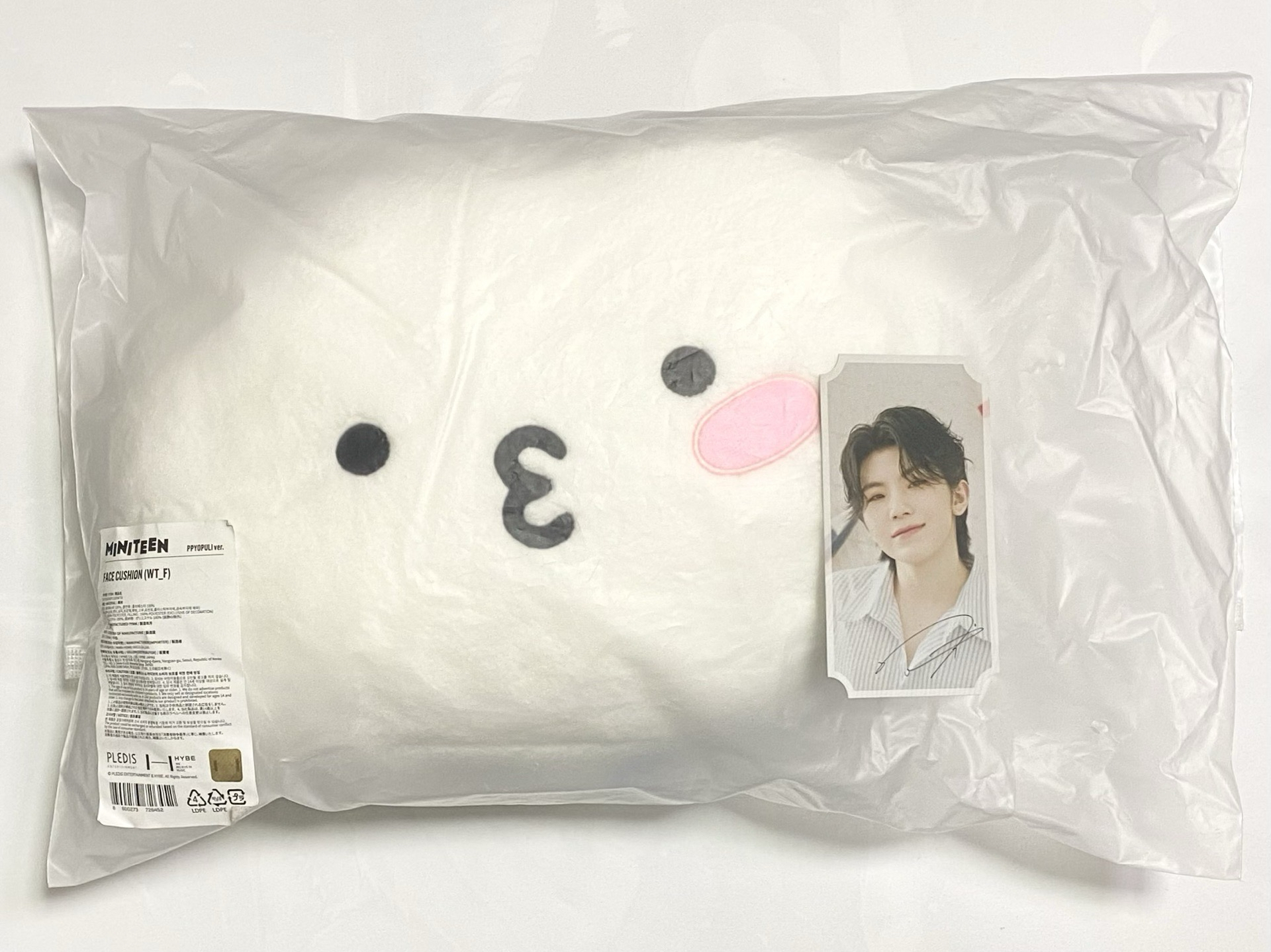 seventeen miniteen 飯粒抱枕 23cafe特典 Woozi 李知勳