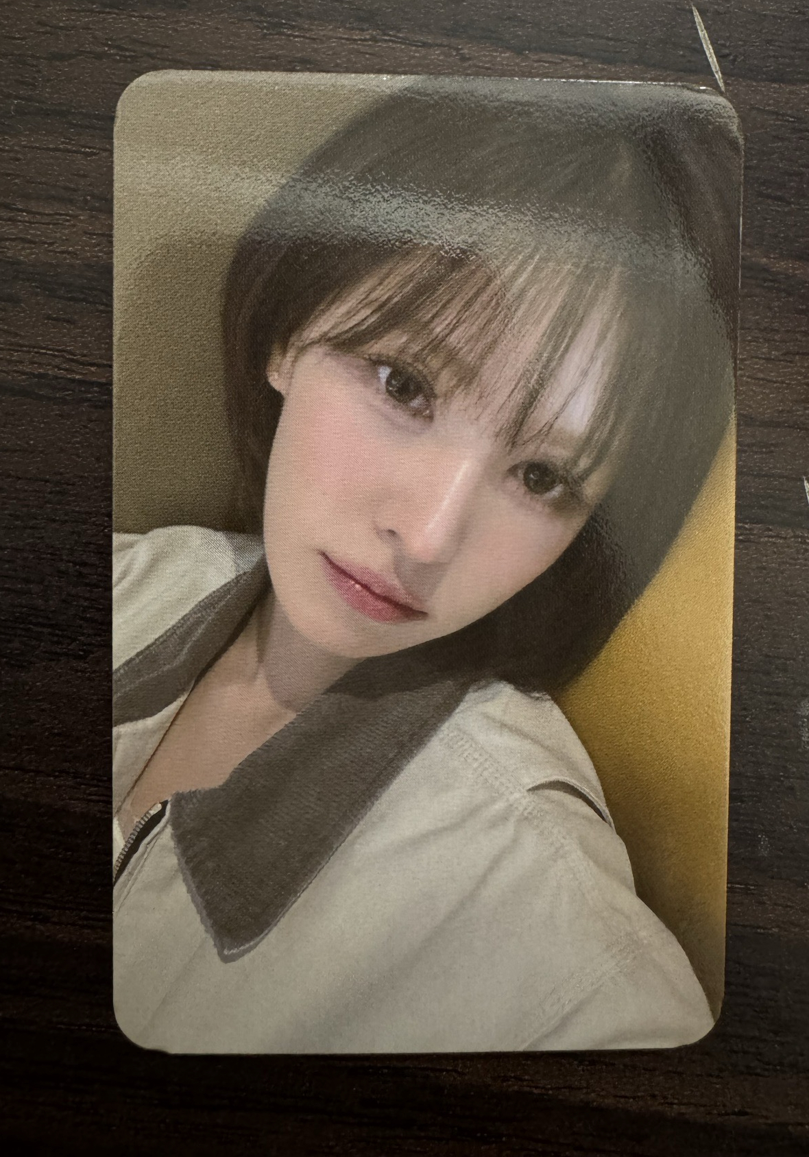 Wendy 櫻花季小卡