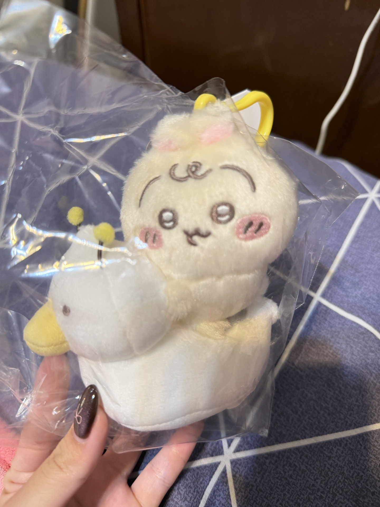 第二代寶寶兔兔