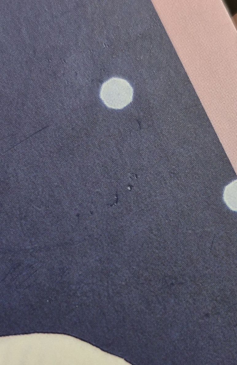 其 16OS 演唱會 DVD / CD 卡 普版方卡