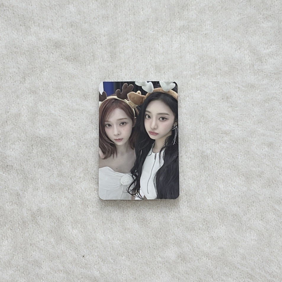 ❇️2023聖誕隨機卡 冬寧雙人卡