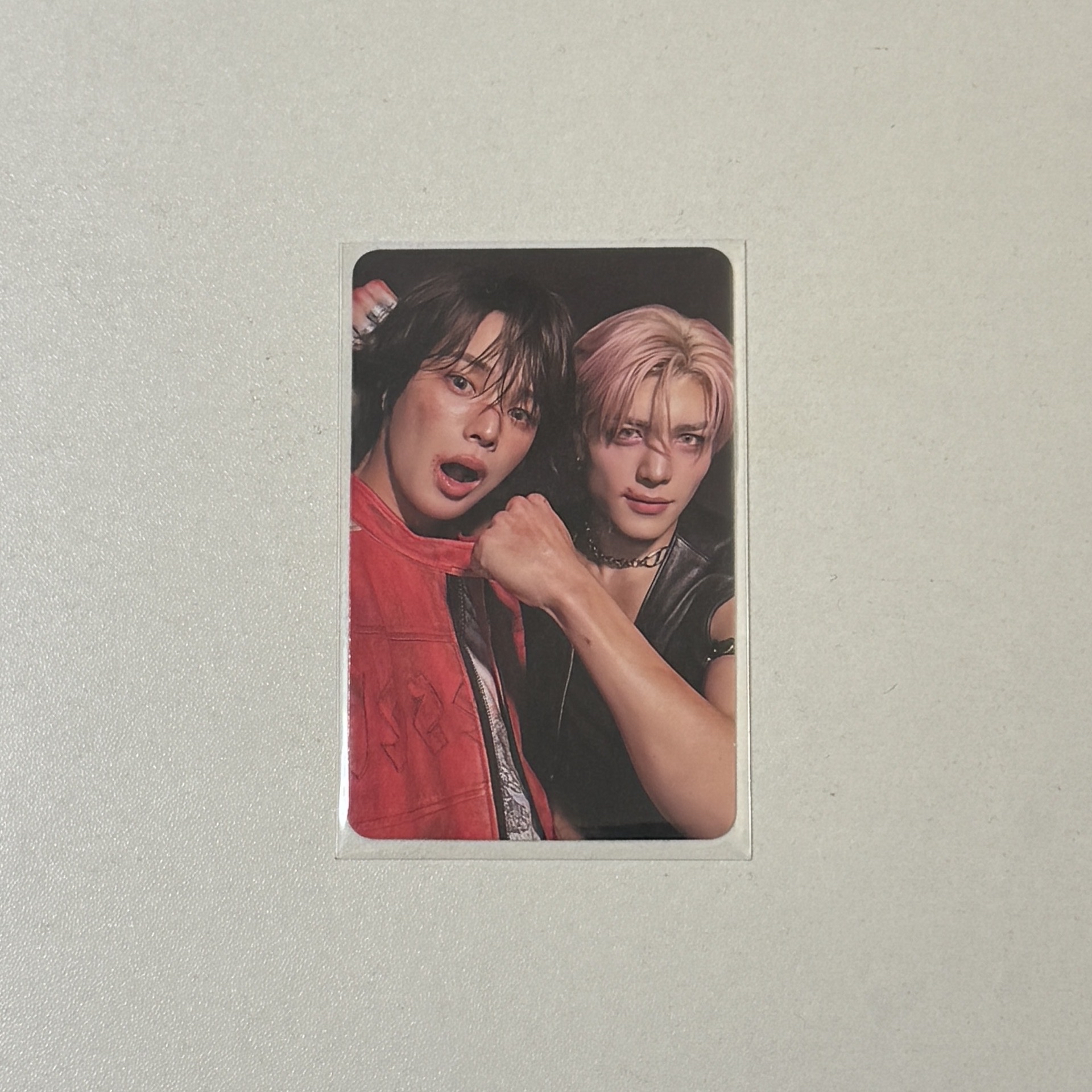 👑🐶-大小忙內